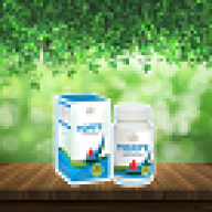 lotuzzdiabetes